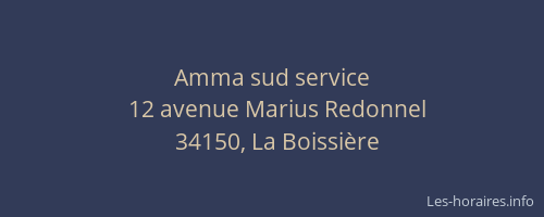 Amma sud service