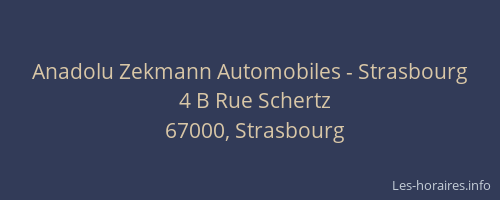 Anadolu Zekmann Automobiles - Strasbourg