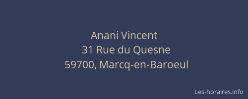 Anani Vincent
