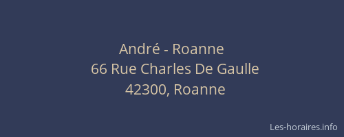 André - Roanne
