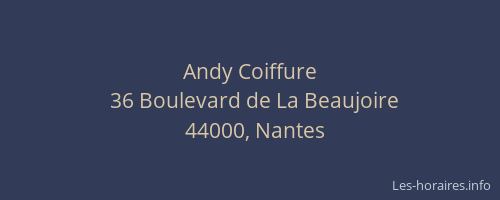 Andy Coiffure