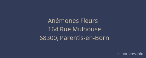 An&eacute;mones Fleurs