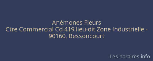 Anémones Fleurs