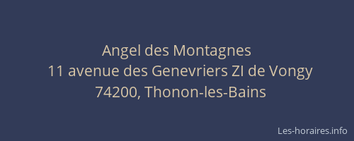 Angel des Montagnes