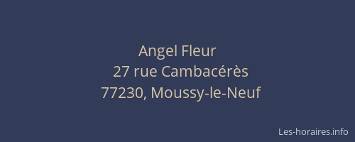 Angel Fleur