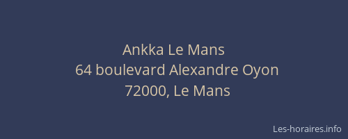 Ankka Le Mans