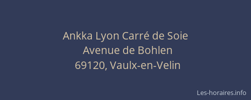 Ankka Lyon Carré de Soie