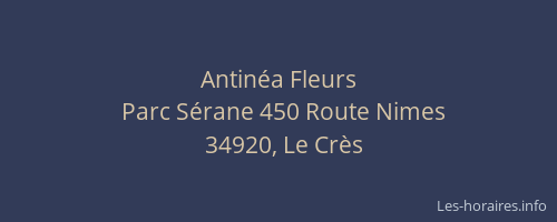 Antinéa Fleurs