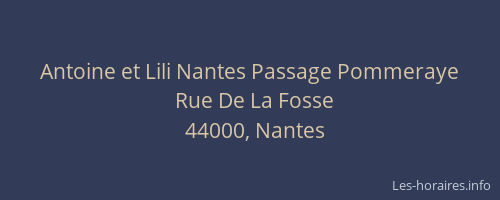 Antoine et Lili Nantes Passage Pommeraye