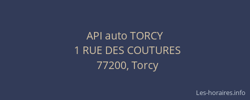 API auto TORCY