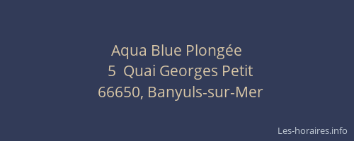 Aqua Blue Plongée