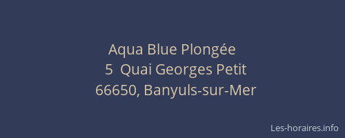 Aqua Blue Plong&eacute;e