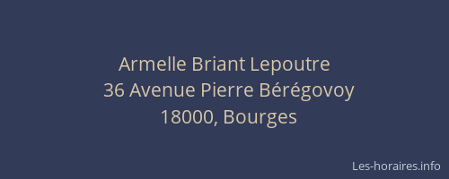 Armelle Briant Lepoutre