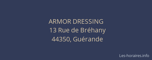 ARMOR DRESSING