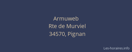 Armuweb