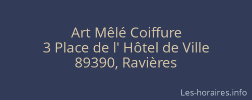 Art M&ecirc;l&eacute; Coiffure