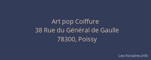 Art pop Coiffure