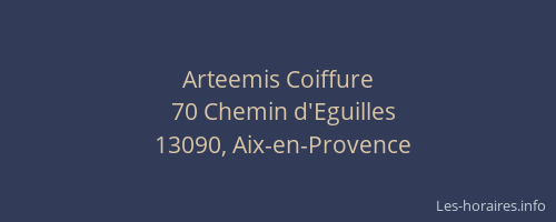 Arteemis Coiffure