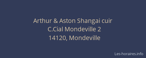 Arthur & Aston Shangai cuir