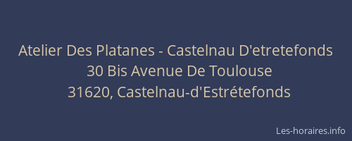 Atelier Des Platanes - Castelnau D'etretefonds