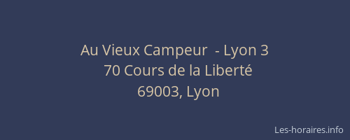 Au Vieux Campeur  - Lyon 3