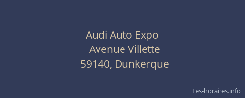 Audi Auto Expo