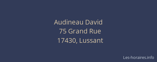 Audineau David