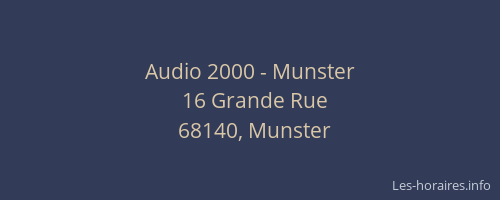 Audio 2000 - Munster