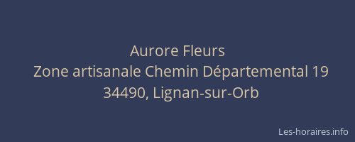 Aurore Fleurs