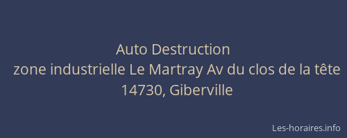 Auto Destruction