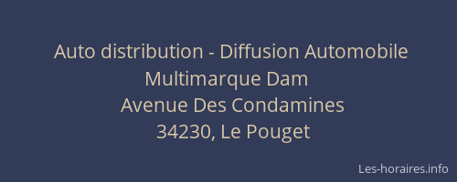Auto distribution - Diffusion Automobile Multimarque Dam