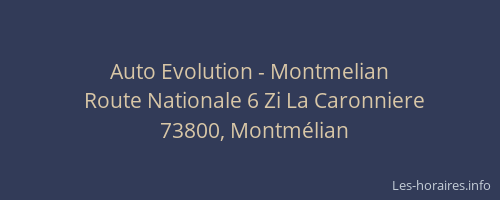 Auto Evolution - Montmelian