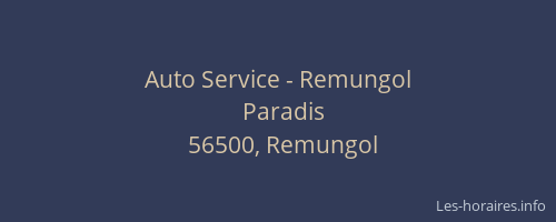 Auto Service - Remungol