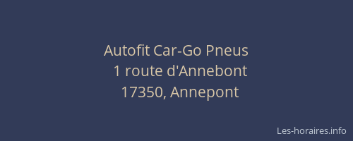 Autofit Car-Go Pneus