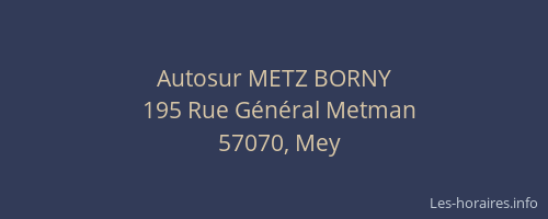 Autosur METZ BORNY