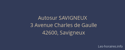 Autosur SAVIGNEUX