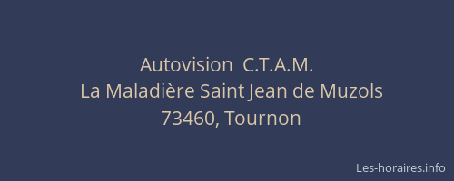 Autovision  C.T.A.M.