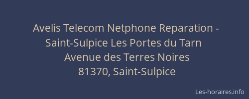 Avelis Telecom Netphone Reparation - Saint-Sulpice Les Portes du Tarn