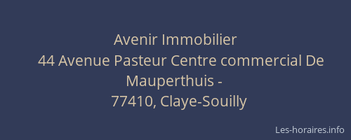 Avenir Immobilier
