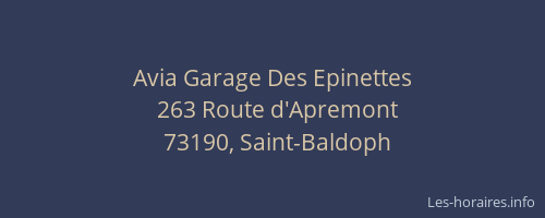Avia Garage Des Epinettes
