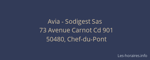 Avia - Sodigest Sas