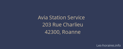 Avia Station Service