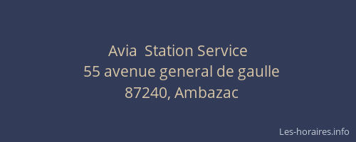 Avia  Station Service