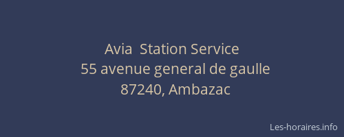 Avia  Station Service