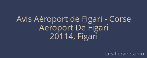 Avis A&eacute;roport de Figari - Corse
