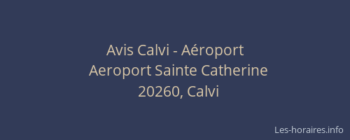 Avis Calvi - Aéroport