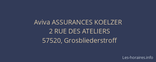 Aviva ASSURANCES KOELZER
