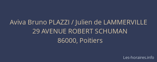 Aviva Bruno PLAZZI / Julien de LAMMERVILLE