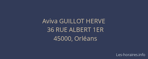 Aviva GUILLOT HERVE