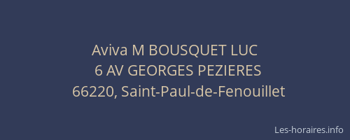 Aviva M BOUSQUET LUC